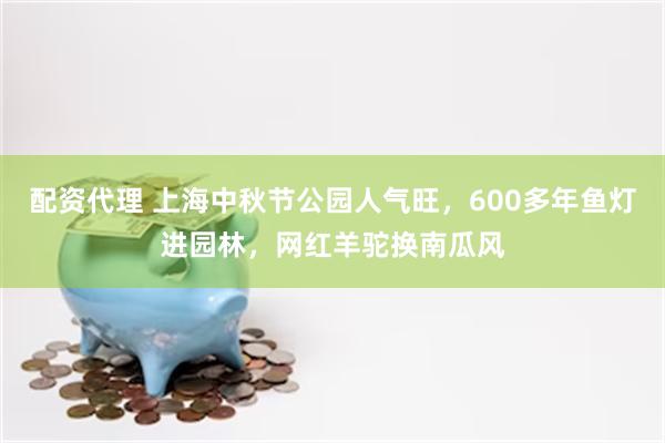 配资代理 上海中秋节公园人气旺，600多年鱼灯进园林，网红羊驼换南瓜风
