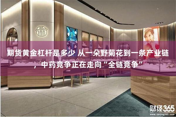期货黄金杠杆是多少 从一朵野菊花到一条产业链，中药竞争正在走向“全链竞争”