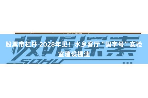 股票带杠杆 2028年见！水乡客厅“国字号”实验室建设提速